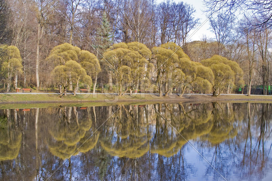 Суворовский парк в москве фото