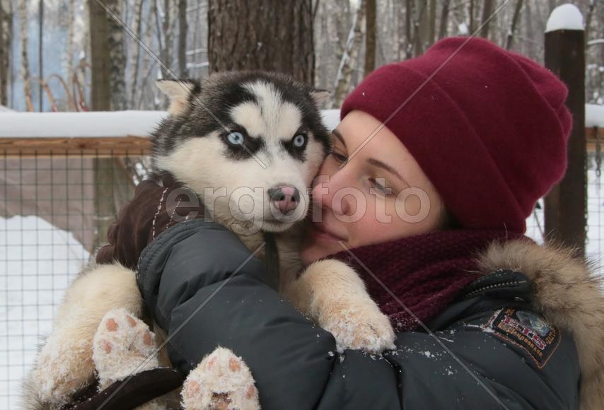 Эко хаски парк и музей русского десерта