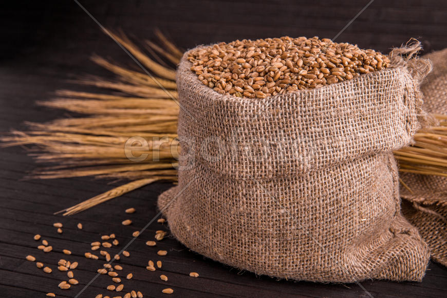 Пшеница в мешочке крупным планом с колосками на темном фоне