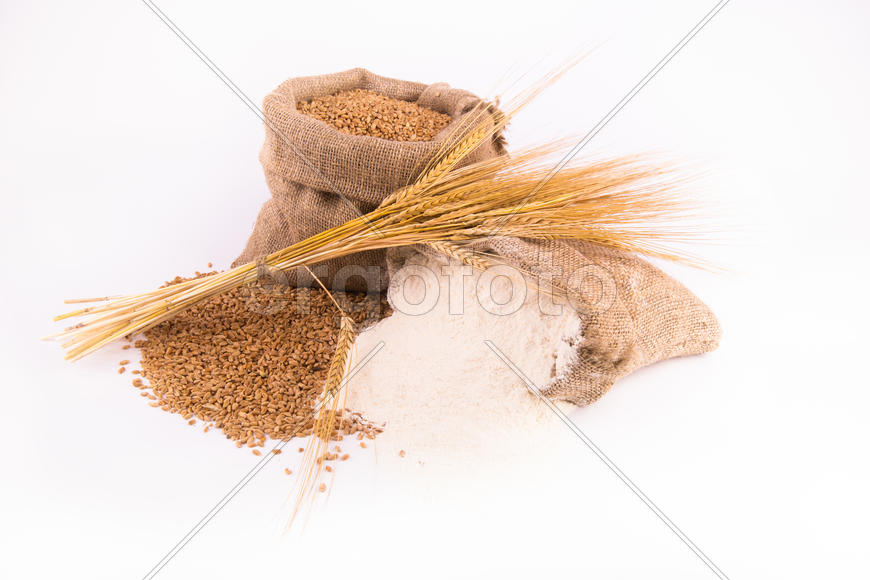 Пшеница и колосья