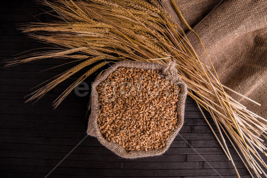 Пшеница в мешке с колосками на темном фоне