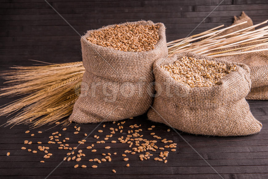 Зерна пшеницы и овсянки в мешочках на темном фоне