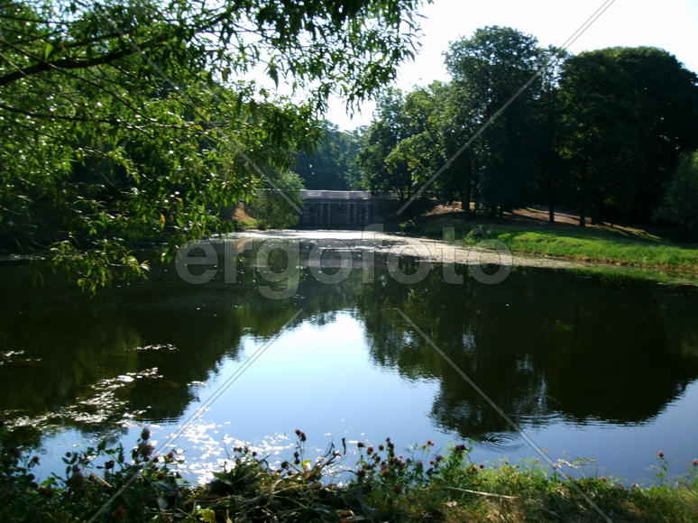 пруд в лефортовском парке