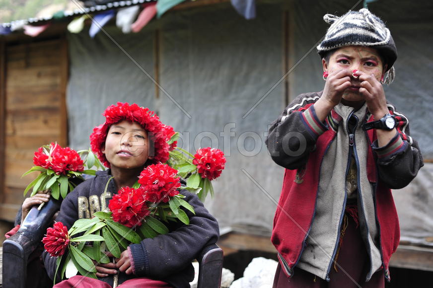В Непале тибетские дети ученики монахи куражатся с венками из цветов рододендрона