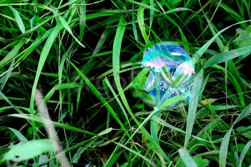 Мыльный пузырь в траве