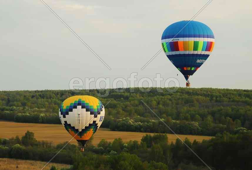 воздушные шары летят над полем
