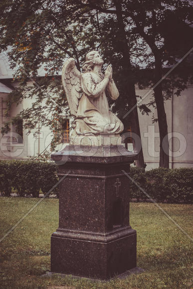 Ангел в Новодевичьем монастыре