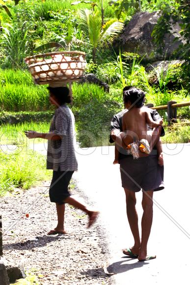 Солнечный день