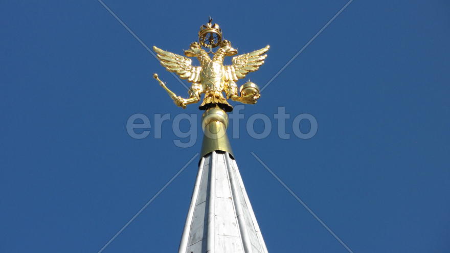 Российский герб. Двуглавый орел