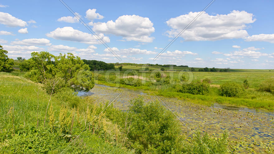 Река с кувниками и поле