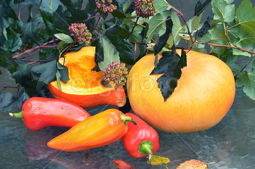 Осенний натюрморт, овощи, тыква