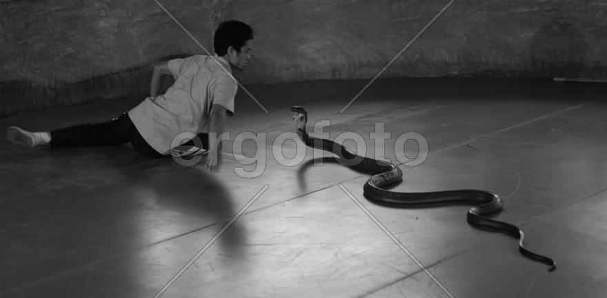 Смертельный танец со змеёй