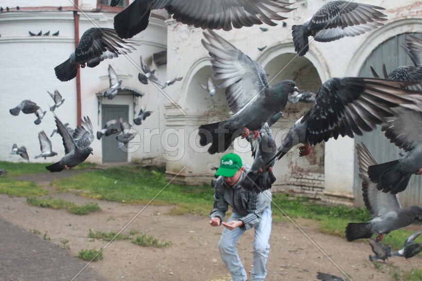 В полете