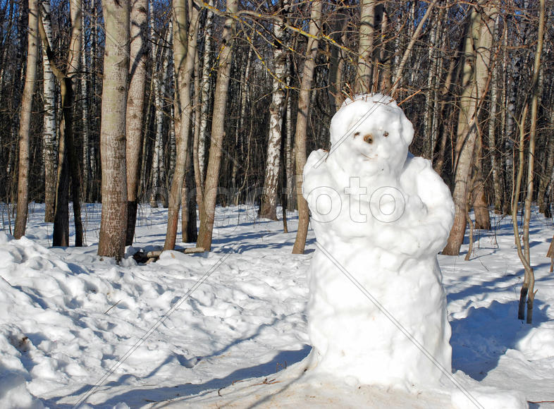 Снеговик в Московском парке Тропарево