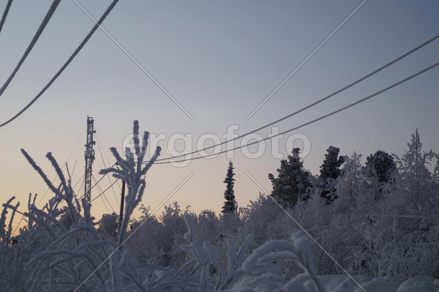 Приполярная новогодняя ночь 31-01/ 15-16 г.г.