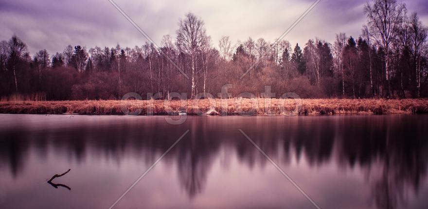 Пейзаж осени на озере 
