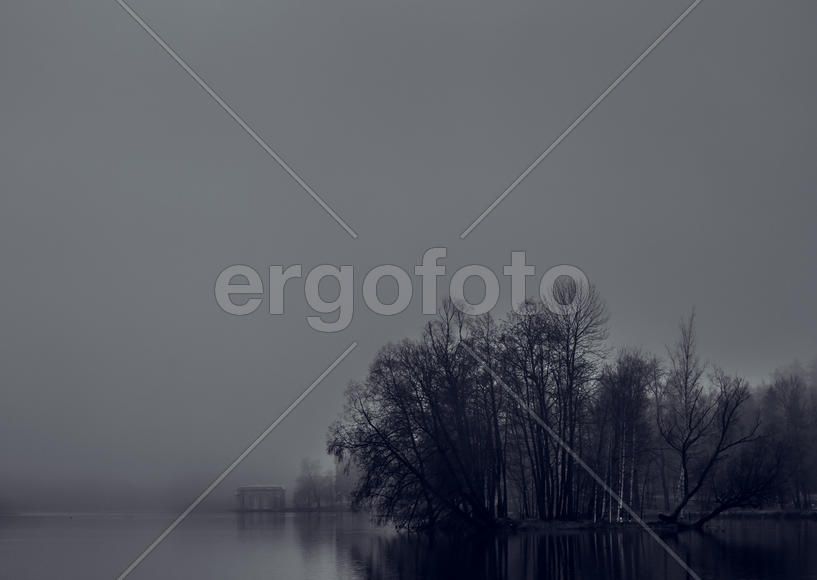 Черно-белая фотография тумана над озером 