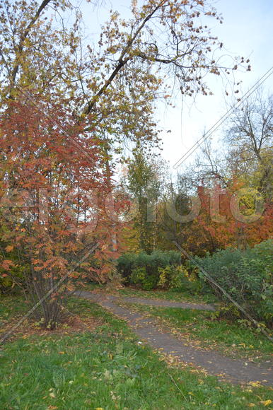 Пейзаж золотой осени в городском парке