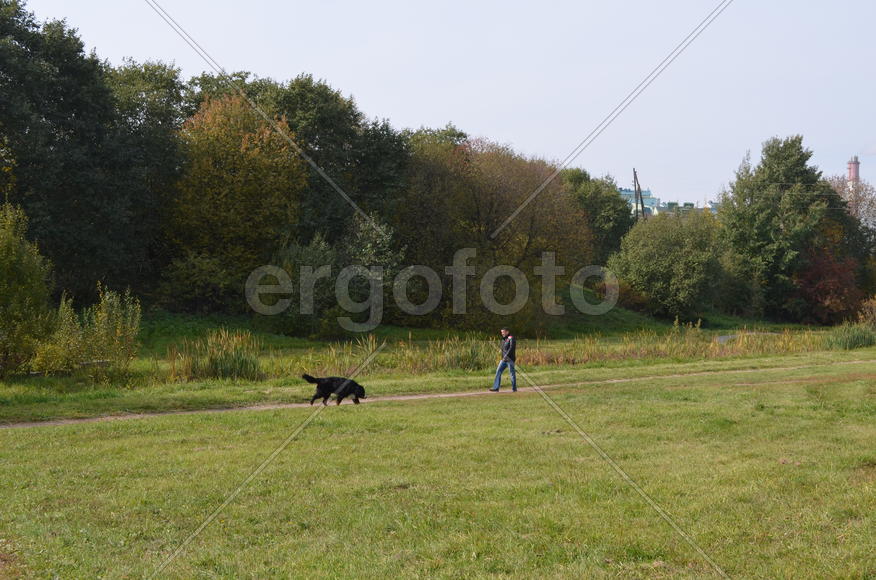 На прогулке