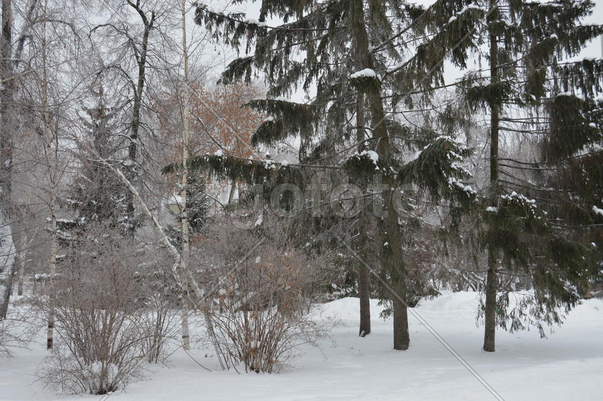 Городской парк занесенный снегом холодной зимой 