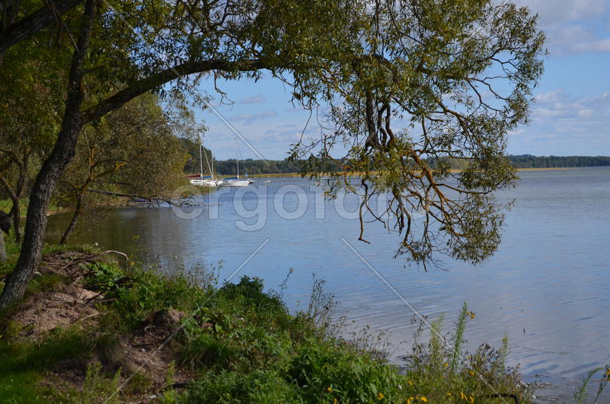 Побережье озера Нарич в Белорусии 