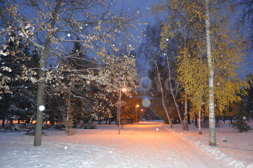 Казань. Заснеженный зимний парк 