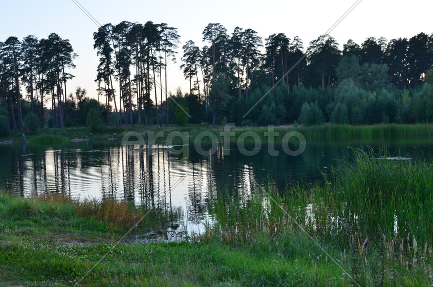 Вечер. Лесное озеро: озеро Лебяжье (Казань)