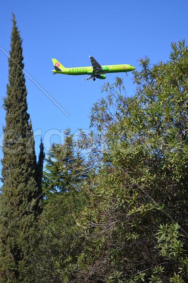 Самолет в небе между деревьями