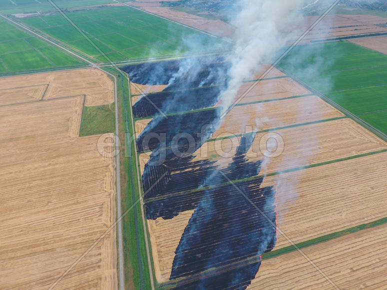 Burning straw in the fields of wheat after harvesting. The pollution of the atmosphere with smoke.