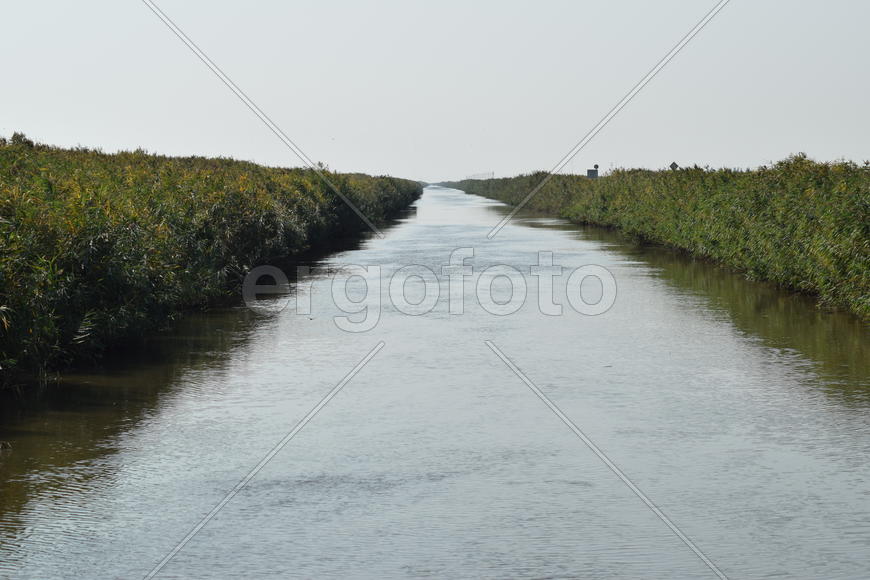 The main irrigation rice fields irrigation channel. Agricultural buildings