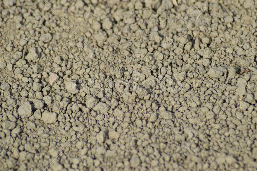 Background from the dry earth. The soil on a dirt road
