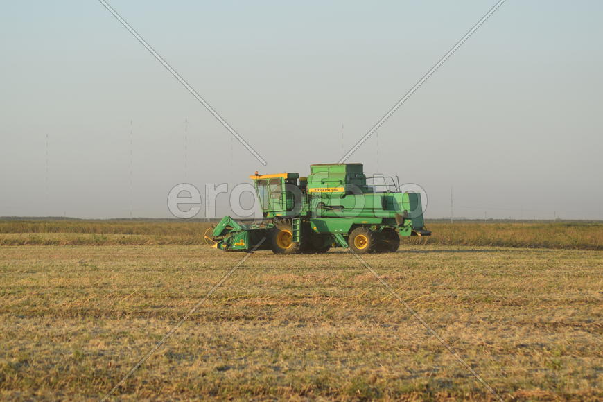 Soy harvesting by combines in the field. Agricultural machinery in operation.