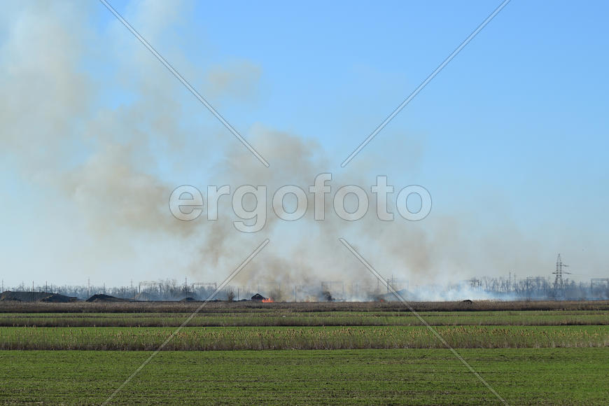 Fire on irrigation canals. Burning dry grass and cane fields in irrigation system