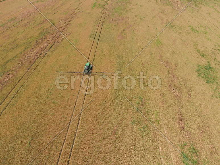 Adding herbicide tractor on the field of ripe wheat. Growing crops in the fields. View from above.