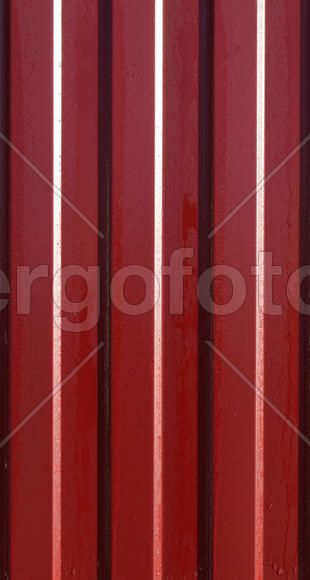 Diagonal pattern of metal profile. Fences from the galvanized iron painted by a polymeric covering