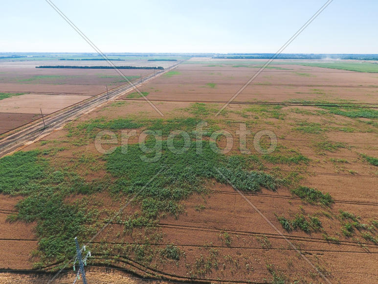 Пшеничное поле и дорога среди полей