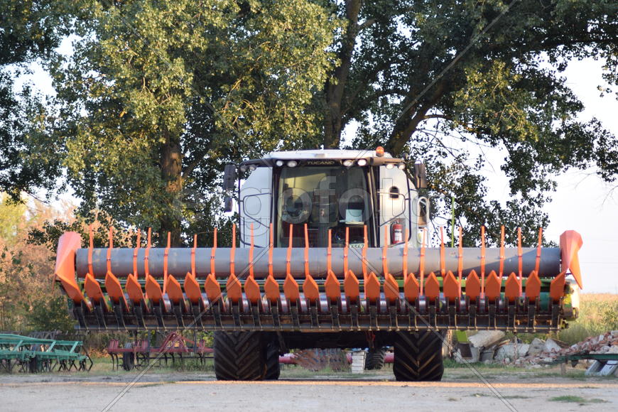 Combine harvester. Agricultural machinery for harvesting from the fields.