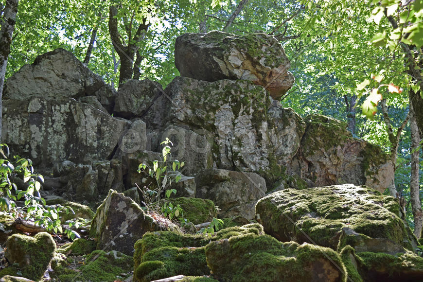 Devil's Finger. The rock damaged by explosion in the woods of Kuban