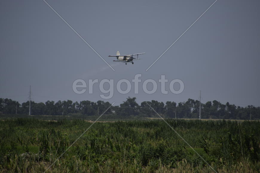 Aircraft agricultural aviation AN-2. The spraying of fertilizers and pesticides on the field with th