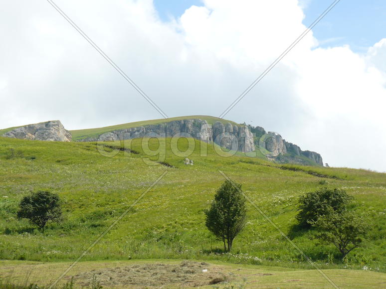 Landscape. The blossoming meadows on slopes of hills