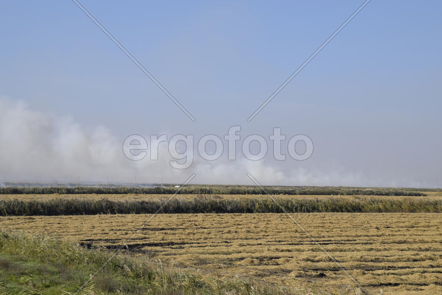 Сжигание рисовой соломы на полях.