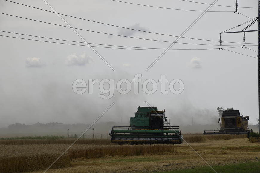 Russia, Temryuk - 01 July 2016: Kombain collects on the wheat crop. Agricultural machinery in the fi