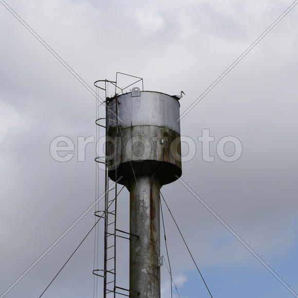 Stork on a roof of a water tower. Stork nest