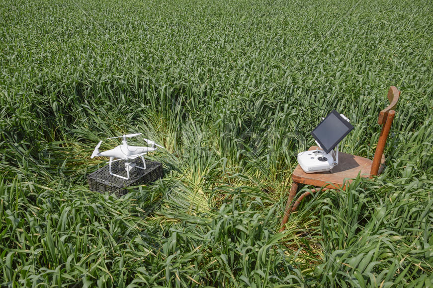 Russia, Poltavskaya village - May 1, 2016: Quadrocopters on a plastic box among the wheat stalks and