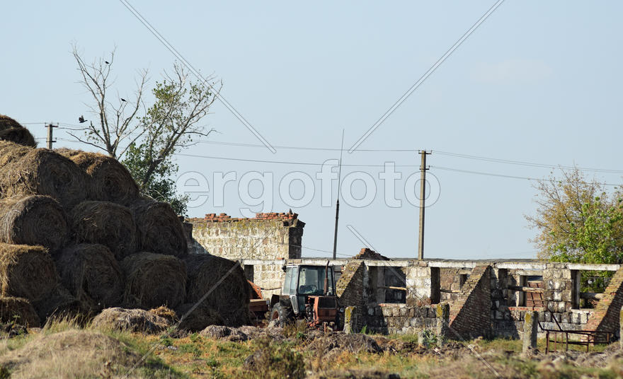 Old tractor in ruins cow farm. Abandoned cow farm