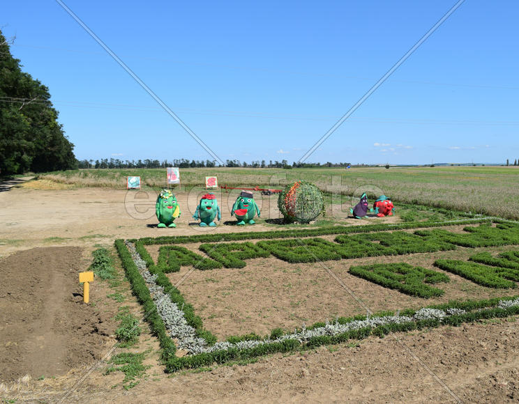 Large toy watermelon farmer before trading platform. Sale of the crop