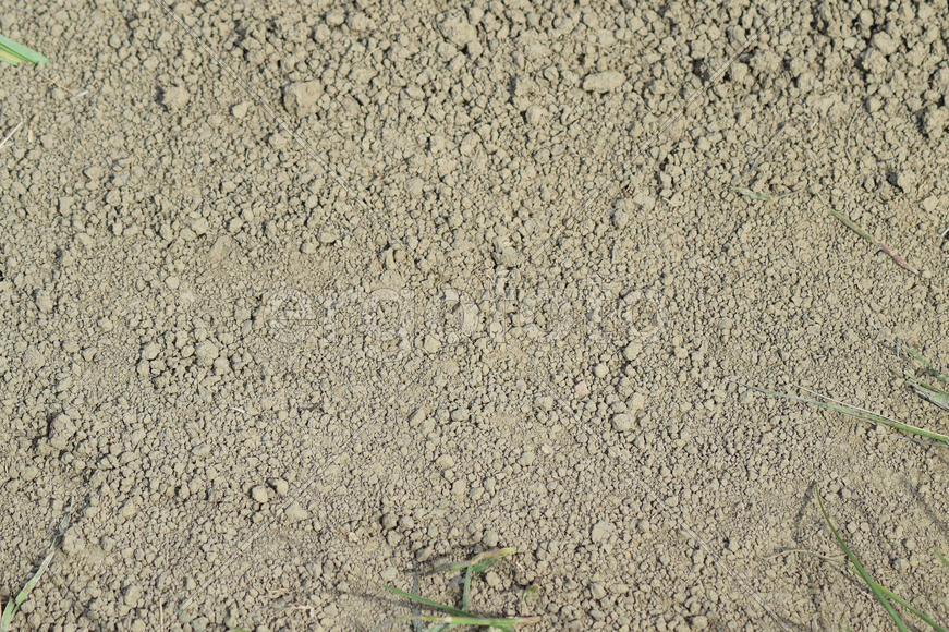 Background from the dry earth. The soil on a dirt road