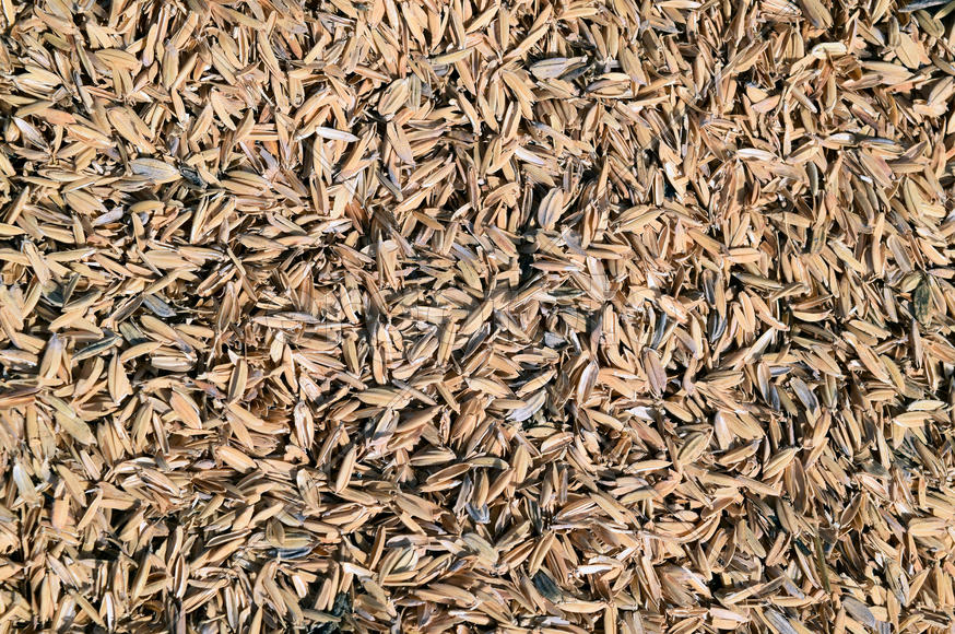 The detail of rice husks for background