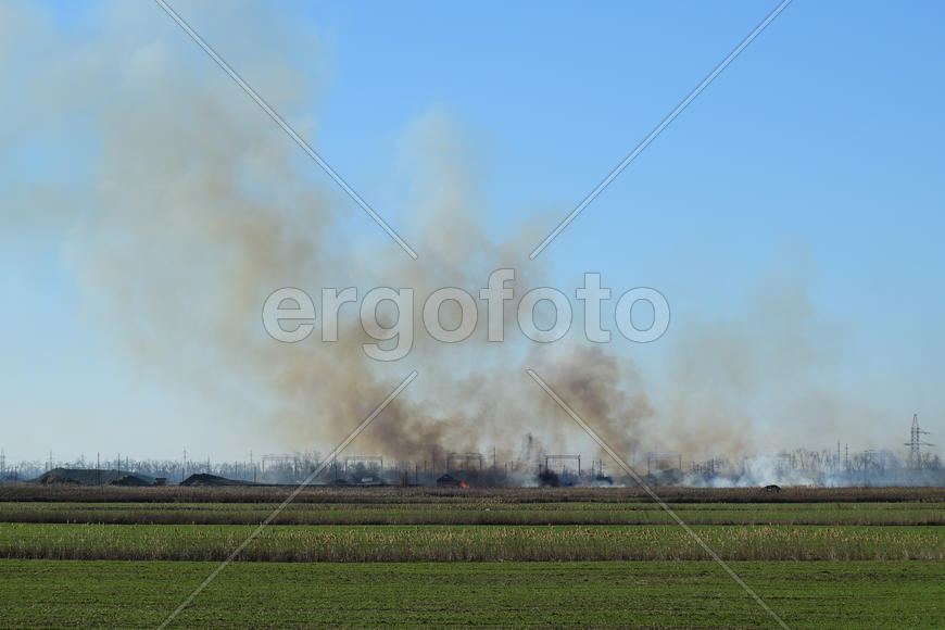 Fire on irrigation canals. Burning dry grass and cane fields in irrigation system