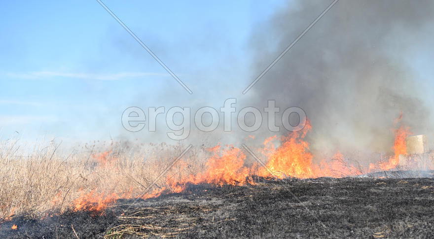 Burning dry grass and reeds. Cleaning the fields and ditches of the thickets of dry grass